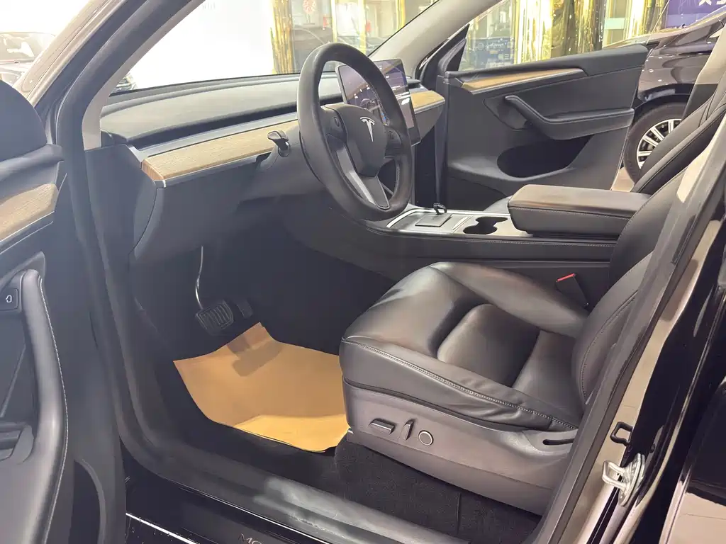 Tesla Model Y — миниатюра 7