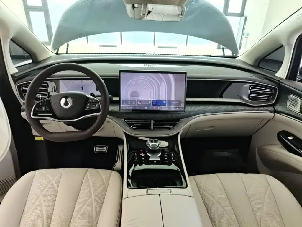 Denza Denza D9 — миниатюра 10
