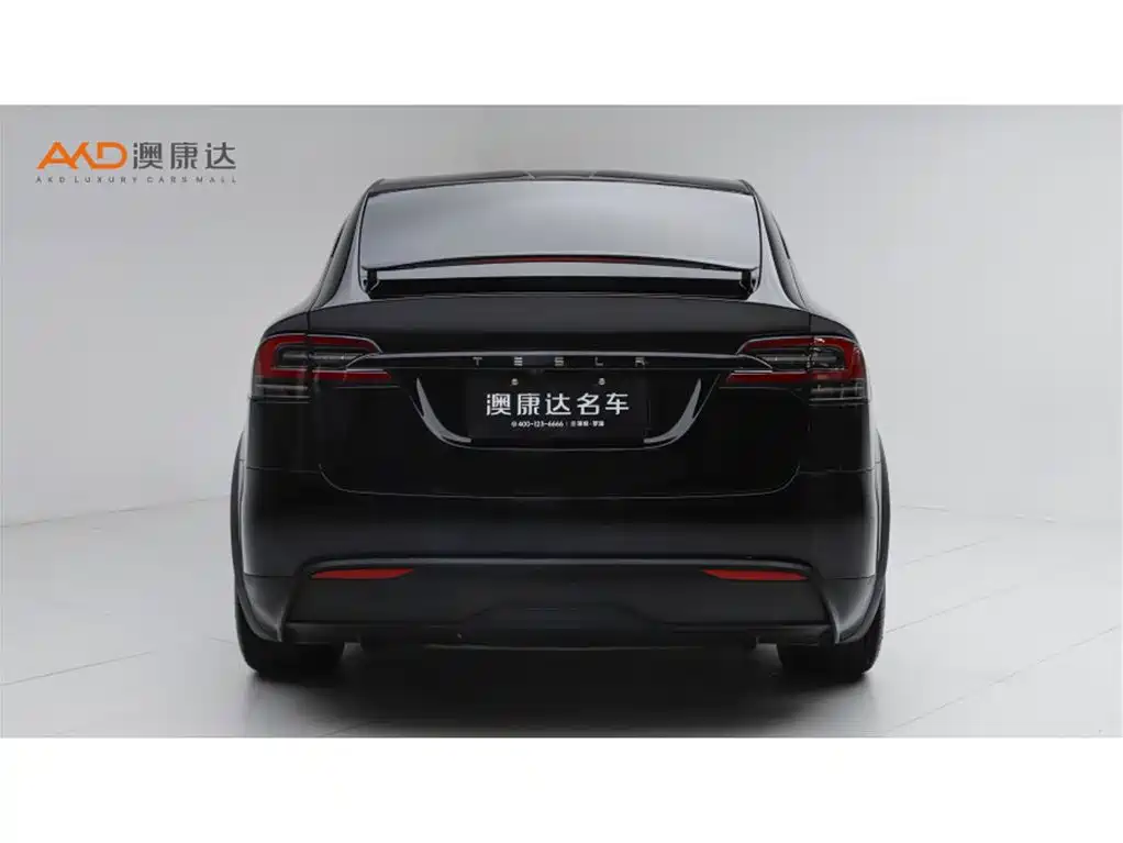 Tesla Model X — миниатюра 4