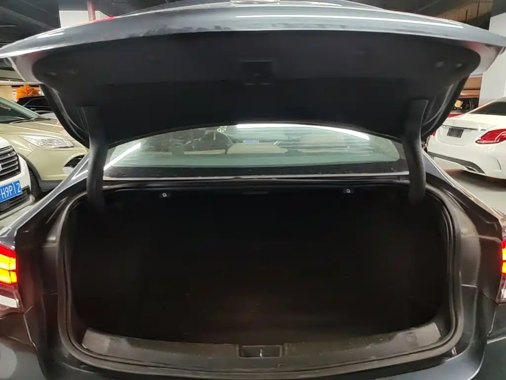 Buick Regal — миниатюра 19
