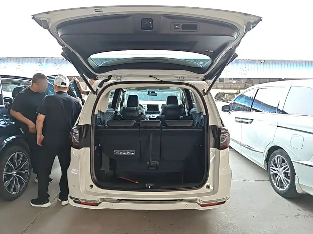 Honda Elysion — миниатюра 19