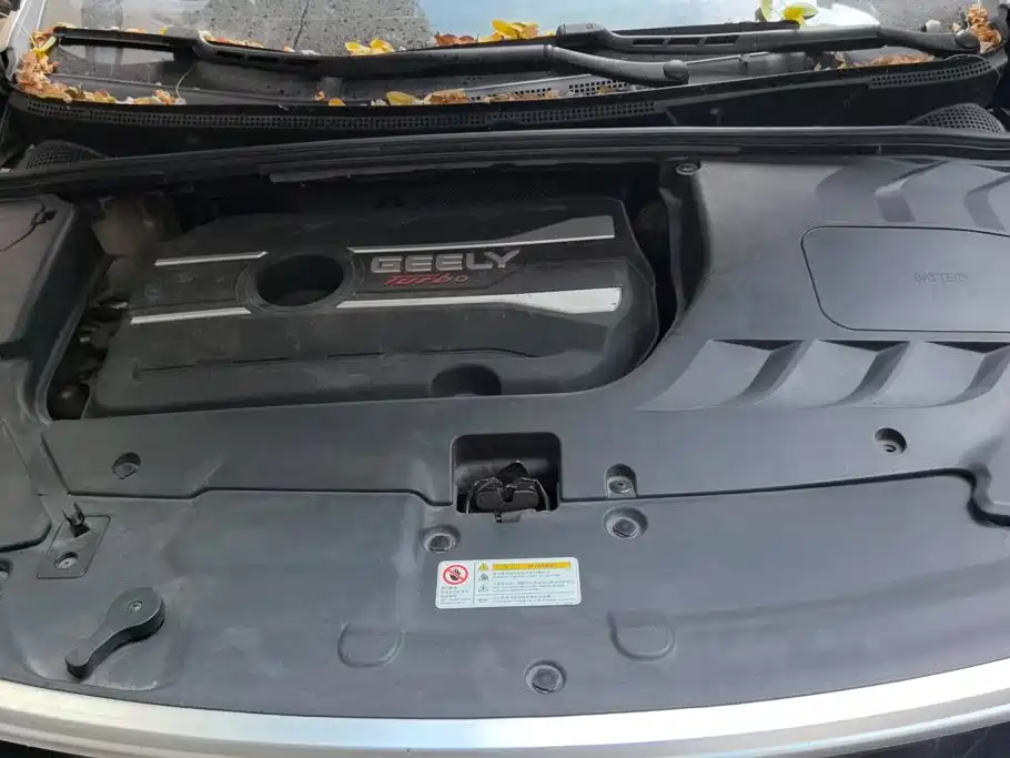 Geely Emgrand GS — миниатюра 10