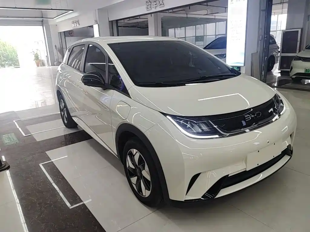 BYD Dolphin — миниатюра 4