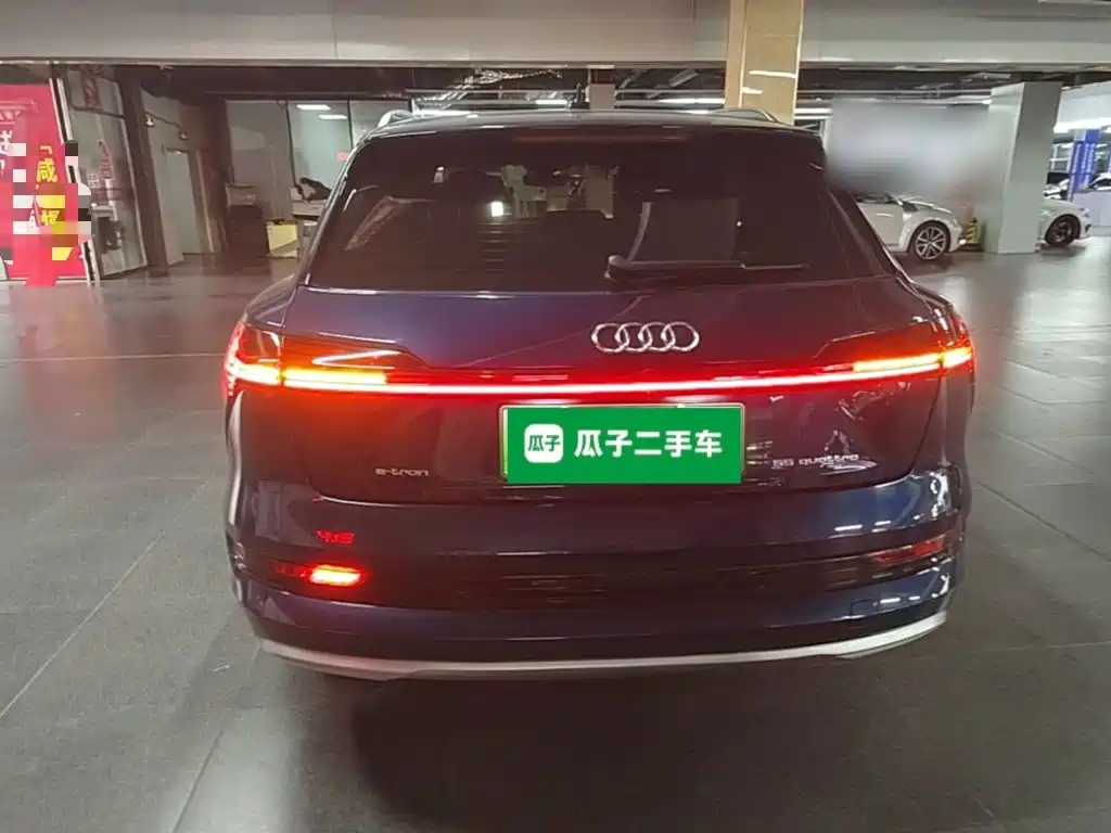 Audi e-tron (Import) — миниатюра 6