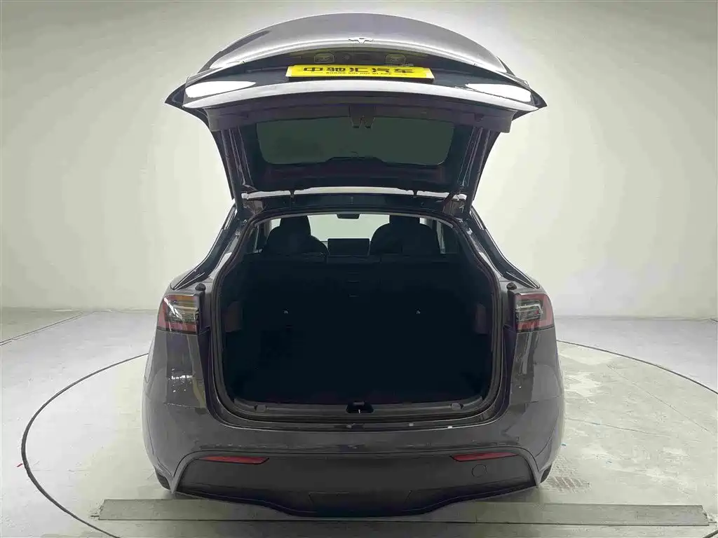 Tesla Model Y — миниатюра 12