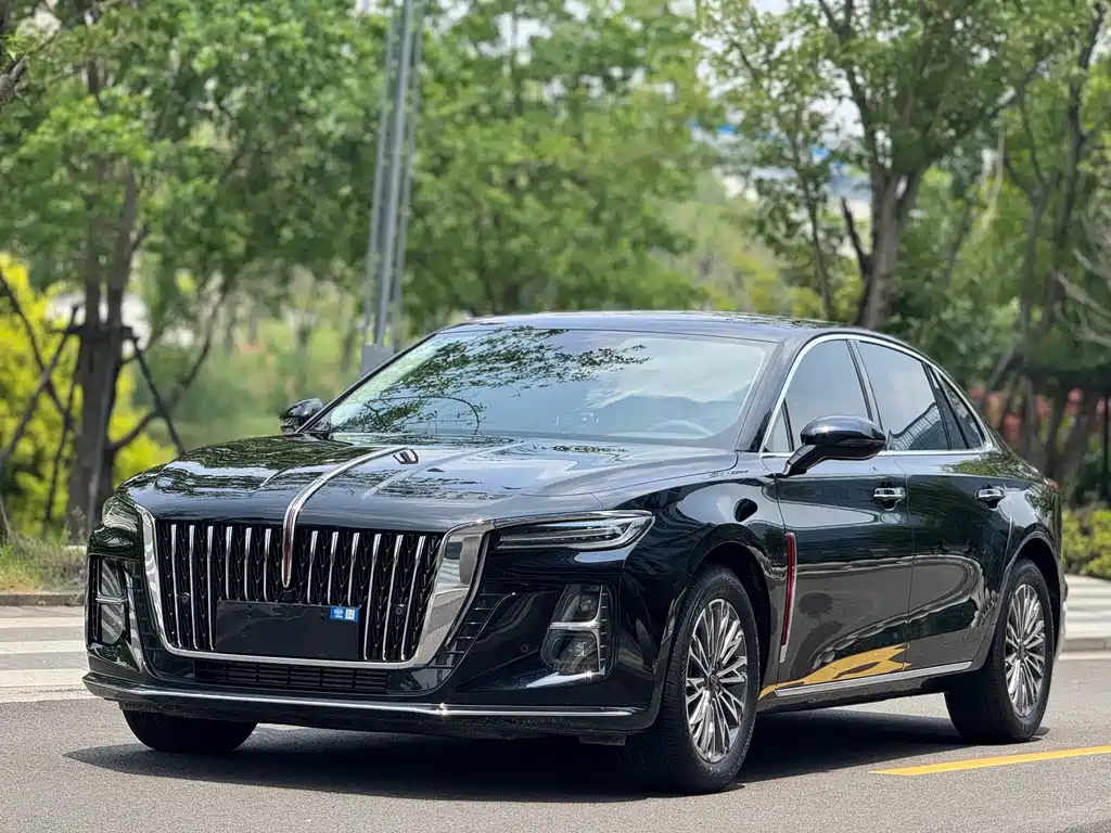 Hongqi Hongqi H5 2024
