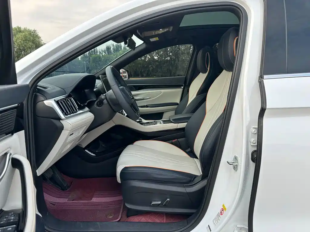 BYD PLUS New Energy — миниатюра 9