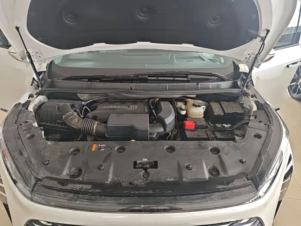 Buick GL8 — миниатюра 20