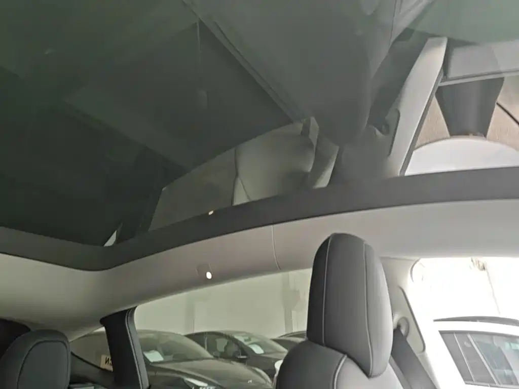 Tesla Model Y — миниатюра 18