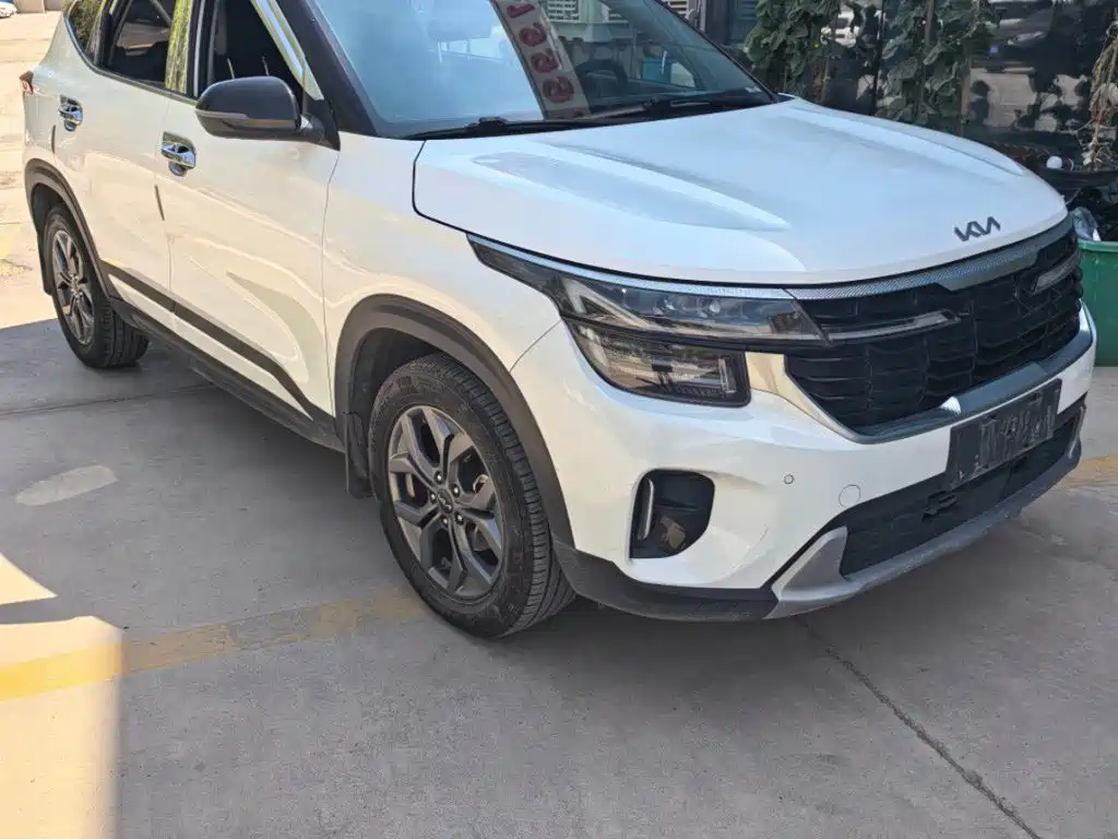 Kia Seltos — миниатюра 3