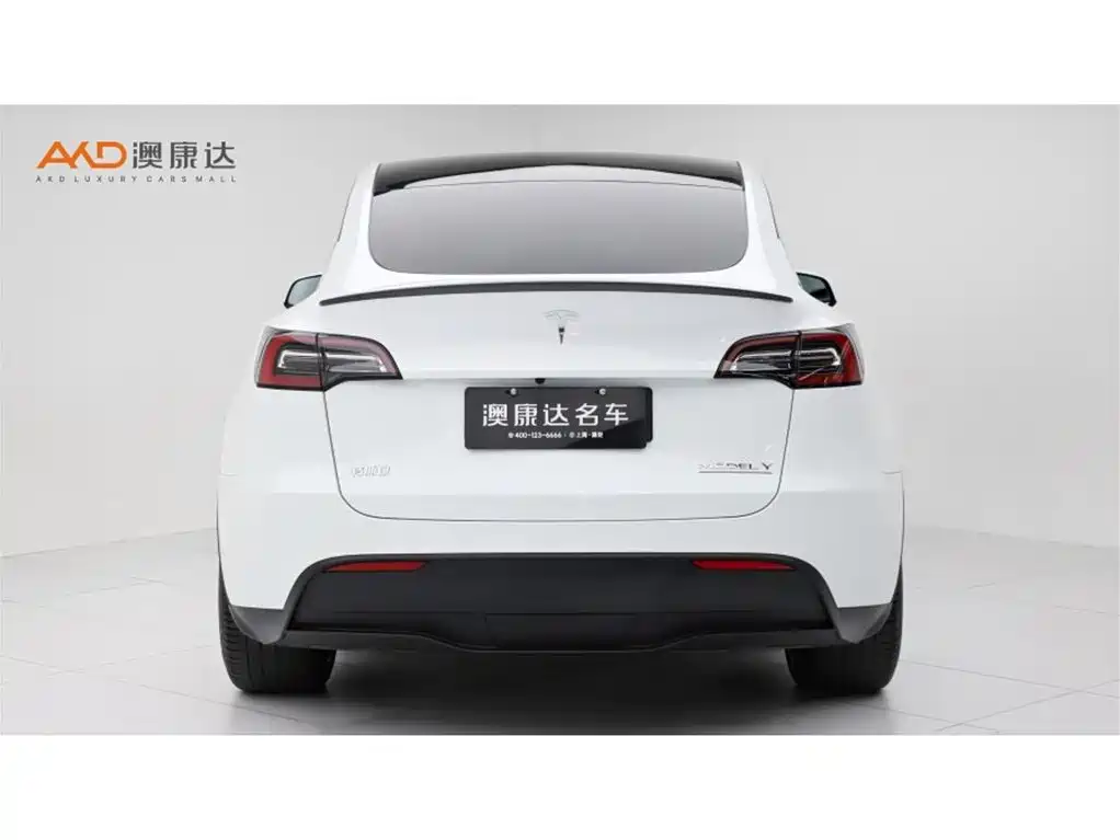 Tesla Model Y — миниатюра 4