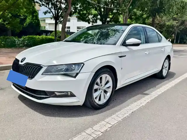 SKODA SPEED PIE 2019