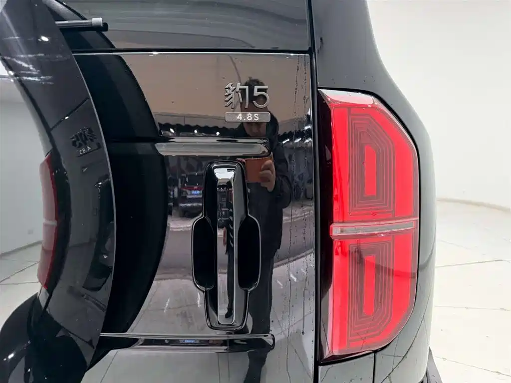 FANG CHENG BAO LEOPARD 5