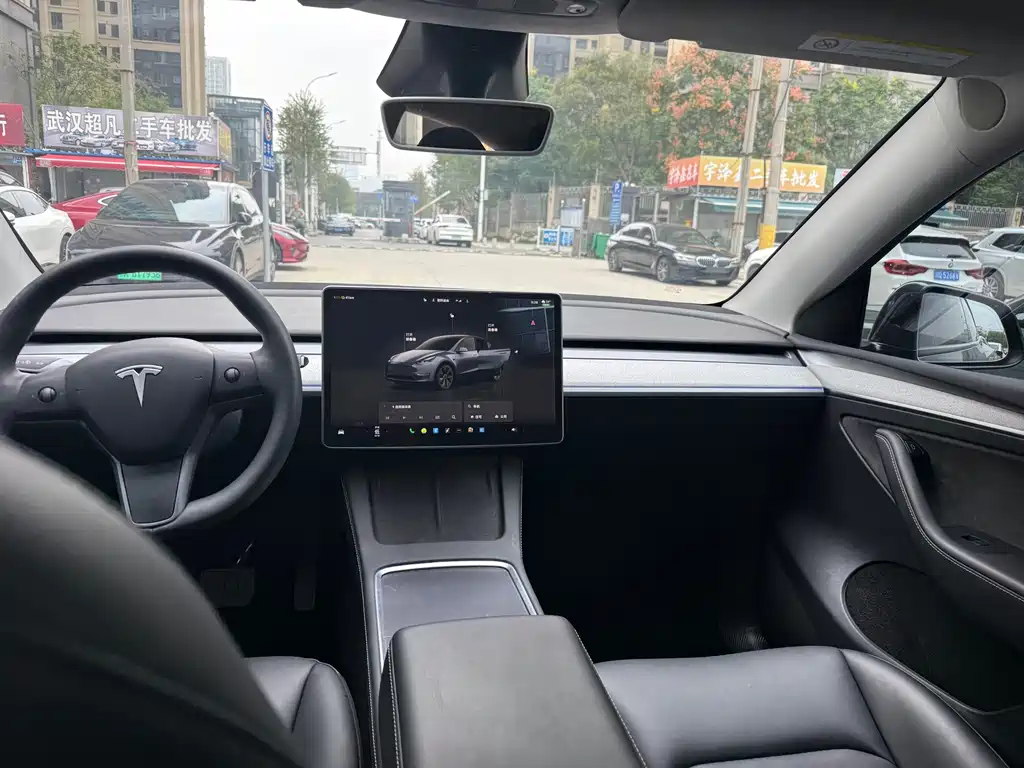 Tesla Model Y — миниатюра 5