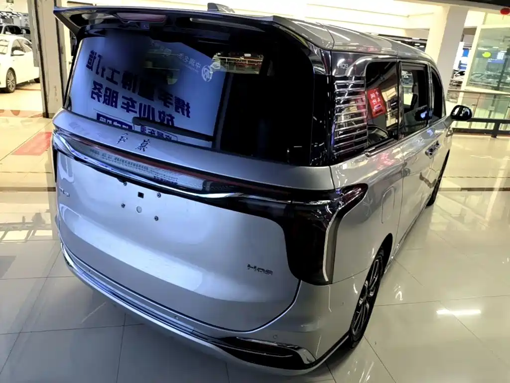 Hongqi Hongqi HQ9 — миниатюра 7