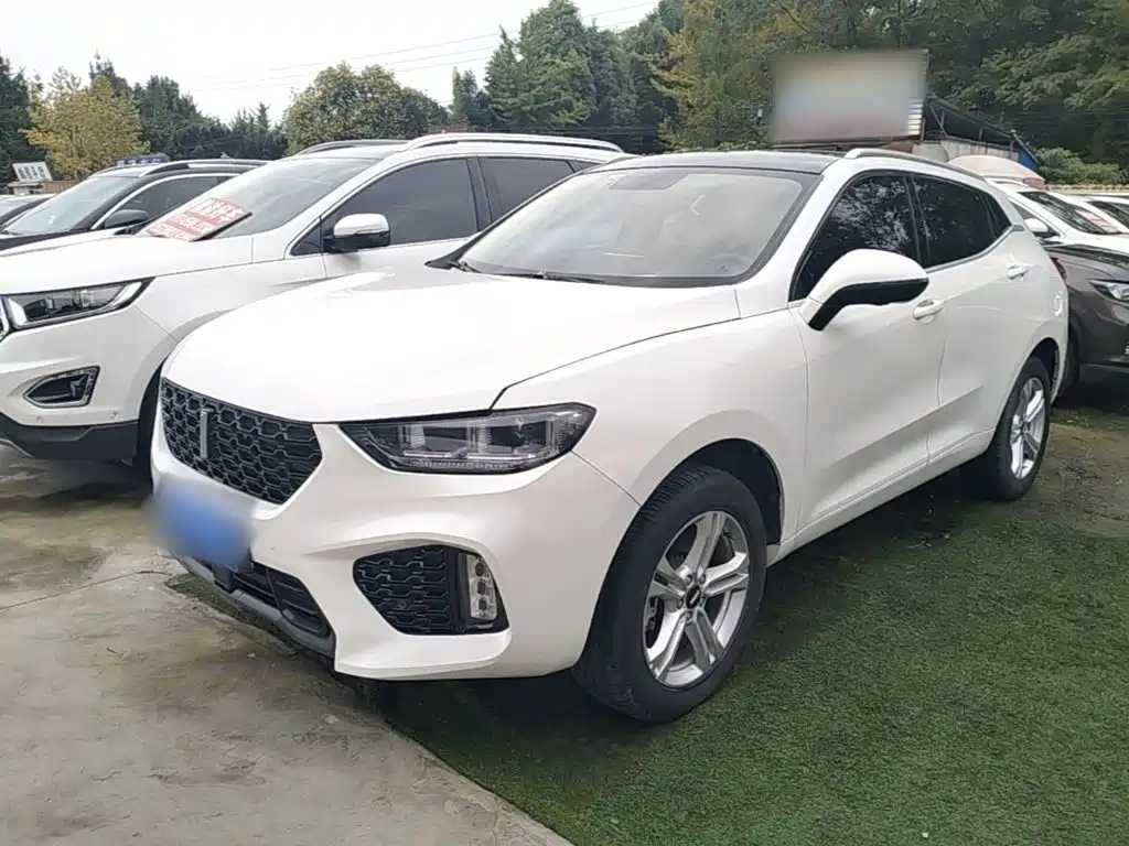 Wey Wey VV5