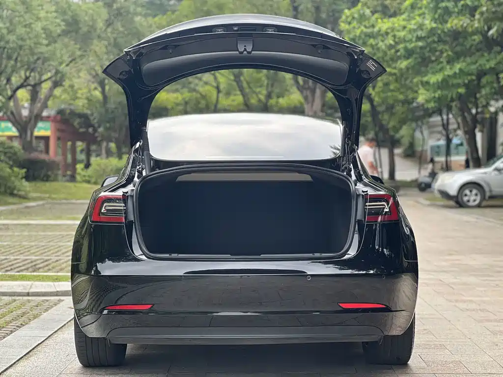 Tesla Model 3 — миниатюра 17