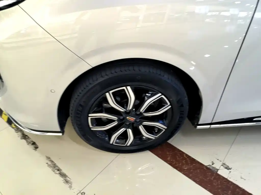 Hongqi Hongqi HQ9 — миниатюра 23