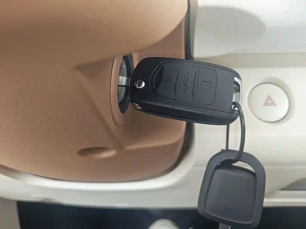 Wuling Mini EV MINIEV 2024 215km