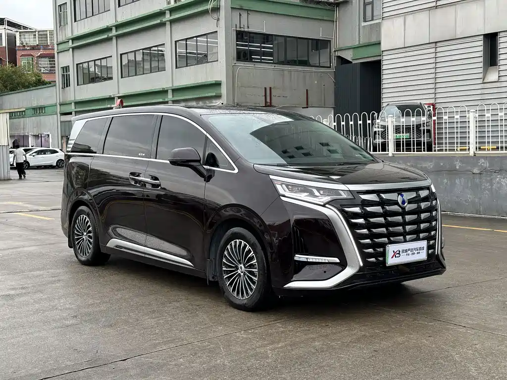 Denza Denza D9 — миниатюра 3