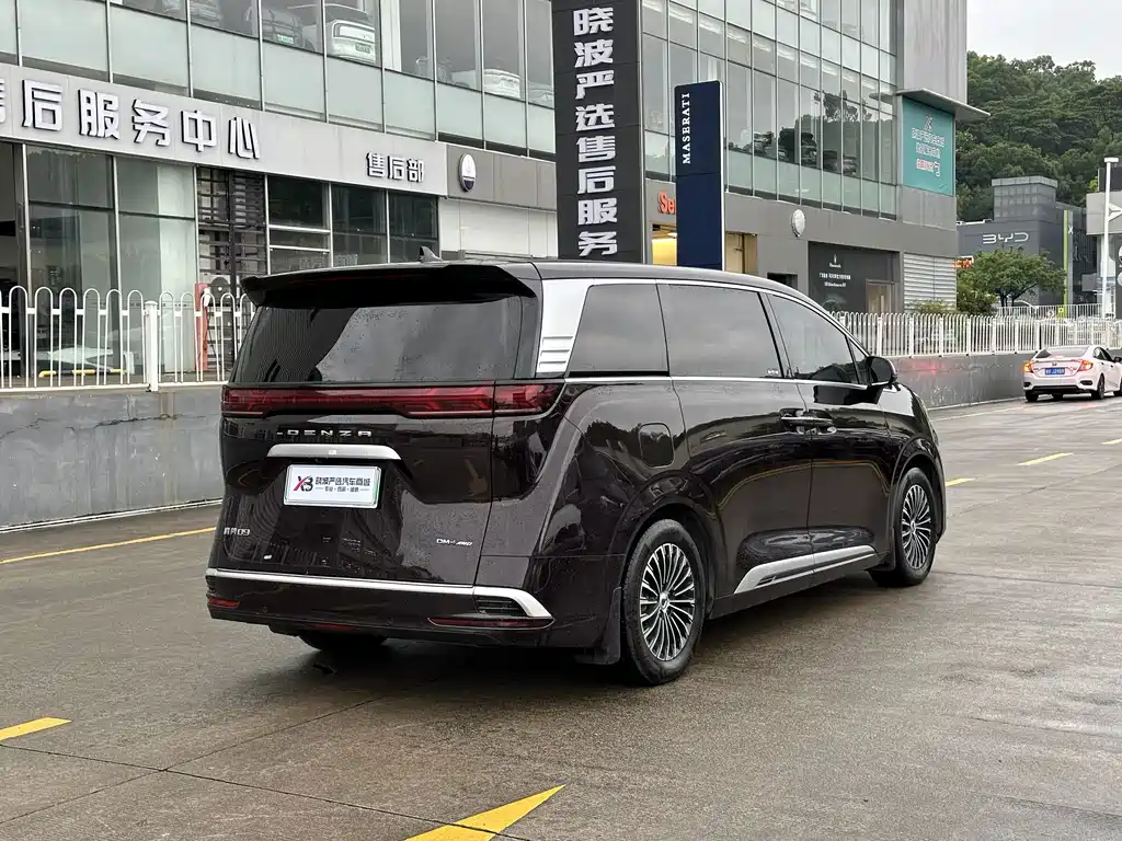 Denza Denza D9 — миниатюра 6