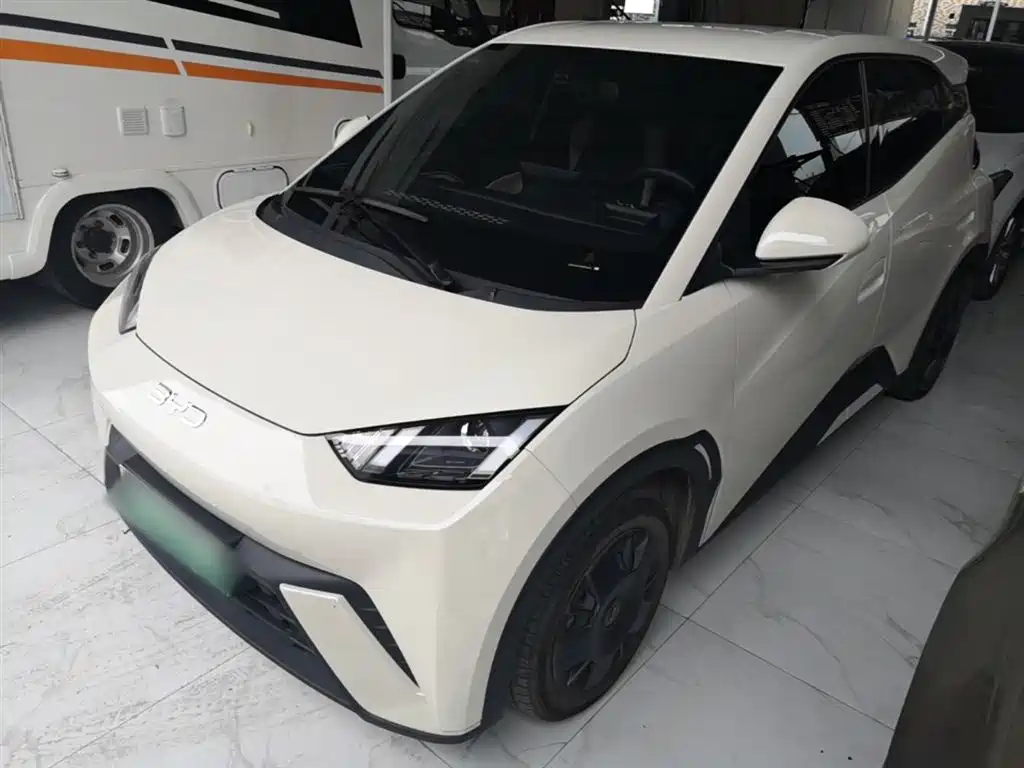 Byd Seagull 2024