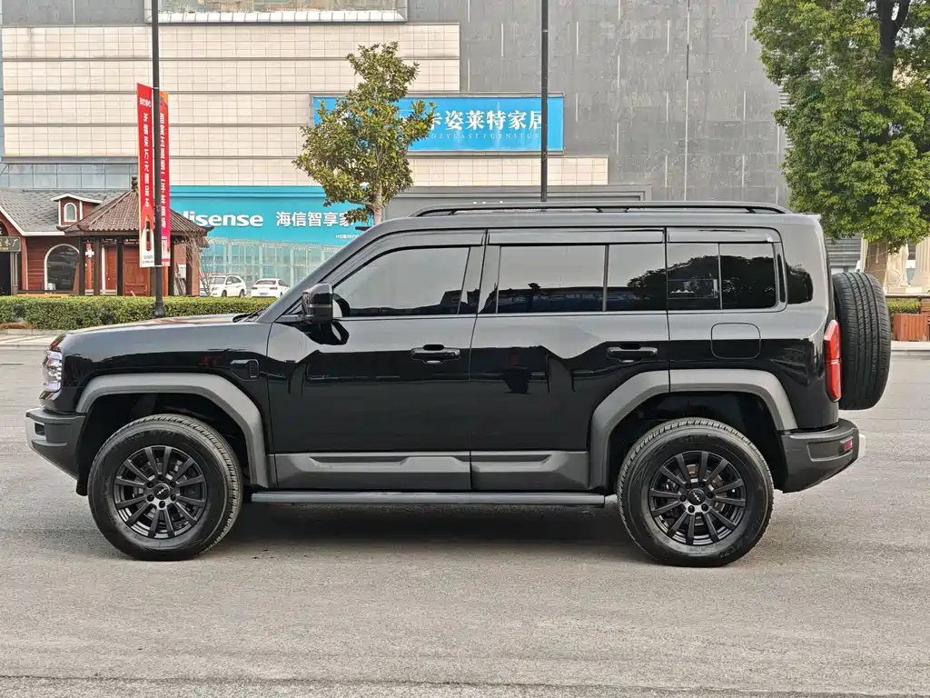 FANG CHENG BAO LEOPARD 5