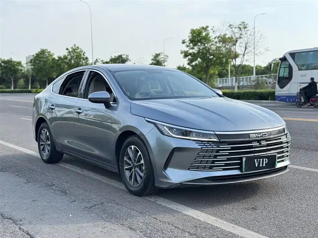 BYD Destroyer 05 2024 DM-i 55KM Luxury