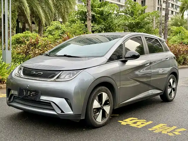 2023 BYD Dolphin