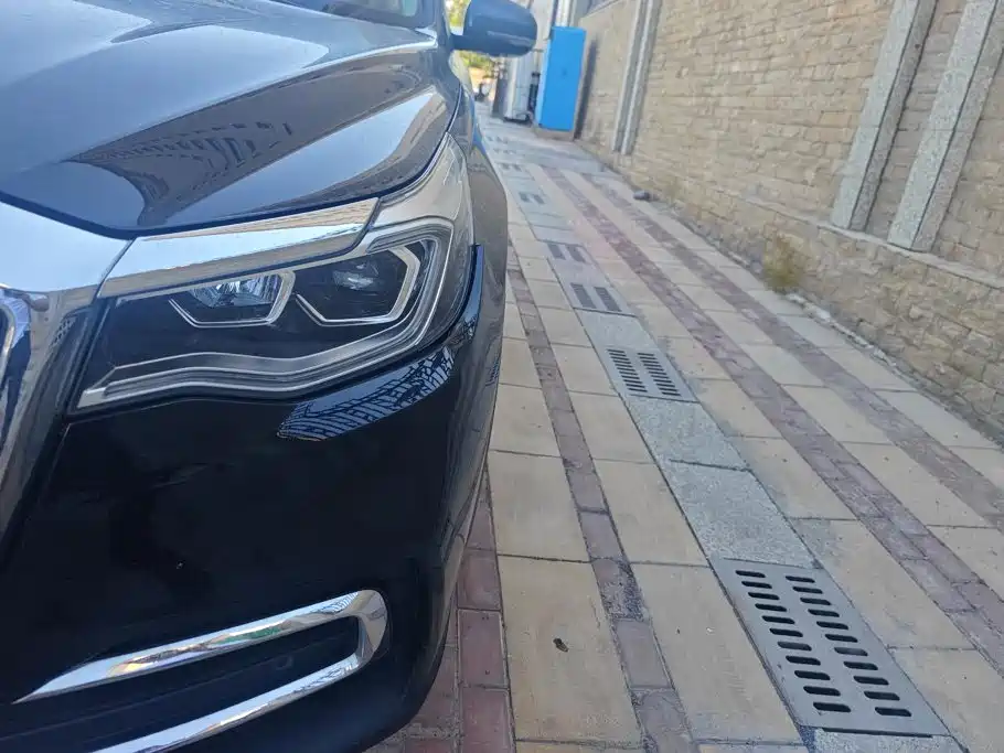 Hongqi Hongqi HS7 — миниатюра 5