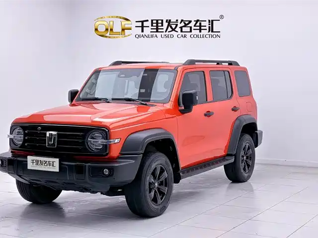 2021 TANK 300