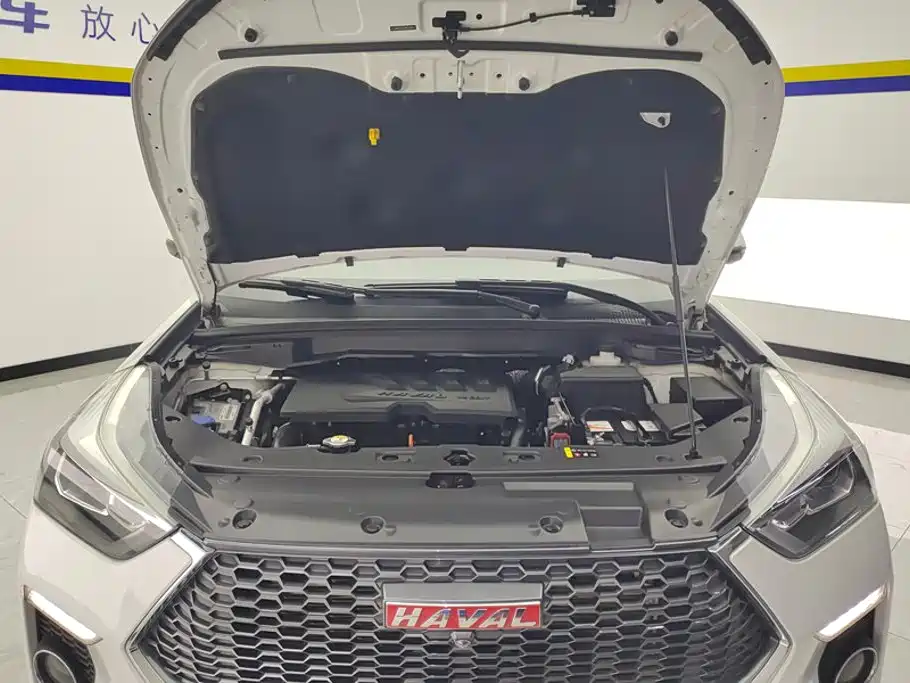 Haval H6 Coupe — миниатюра 10