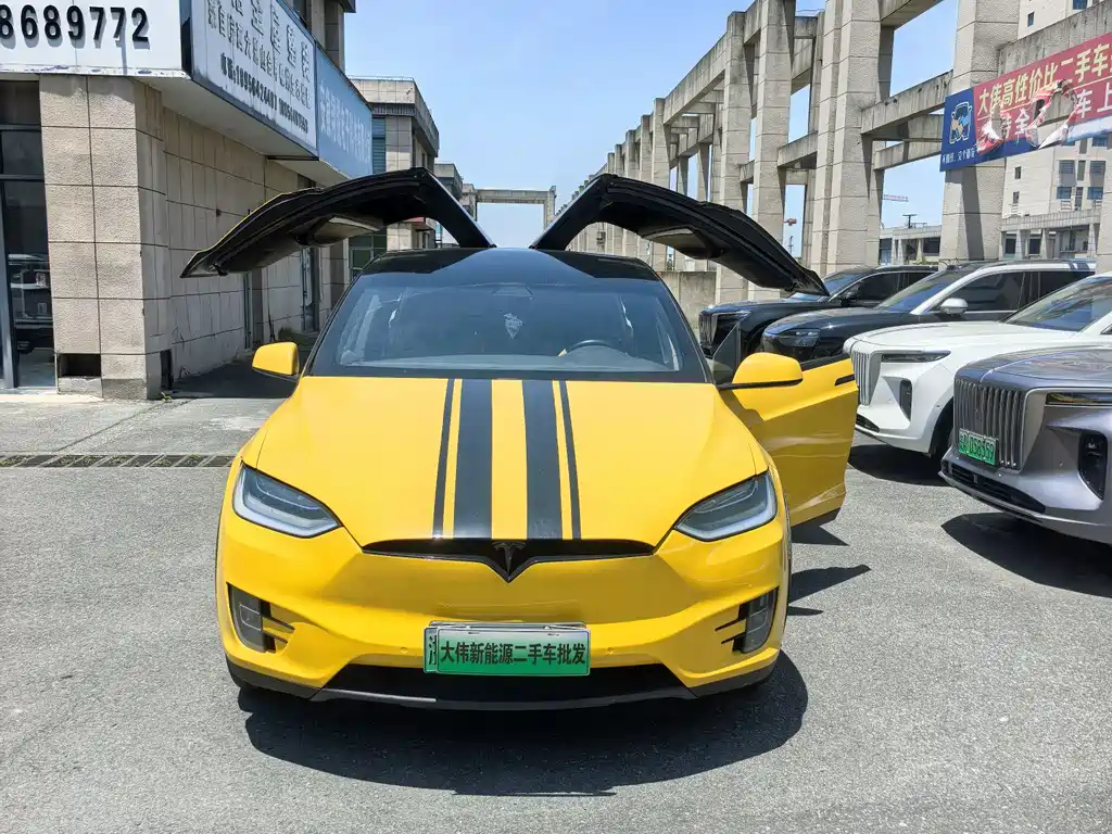 Tesla Model X 2017 Model X 100D