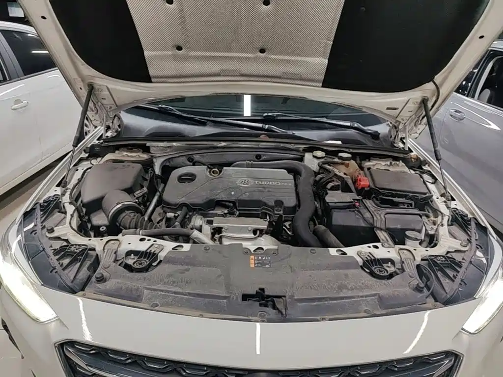 Buick Regal — миниатюра 20