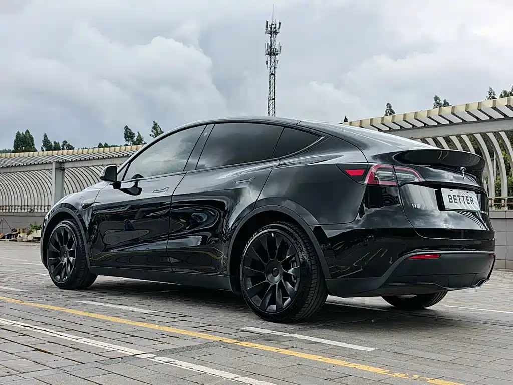 Tesla Model Y — миниатюра 19
