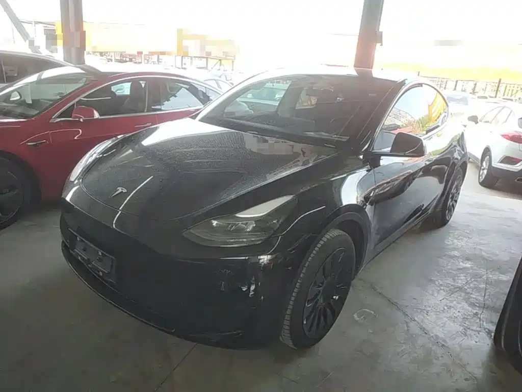 Tesla Model Y — миниатюра 2