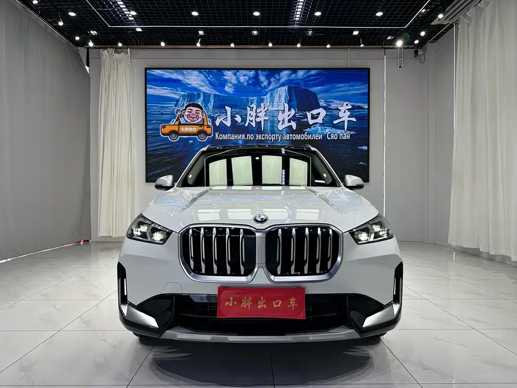 BMW X1 — миниатюра 2