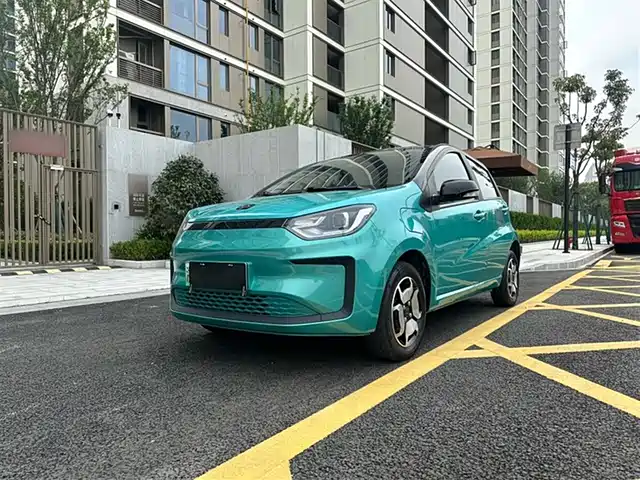 SIHAO FLOWER FAIRY 2023