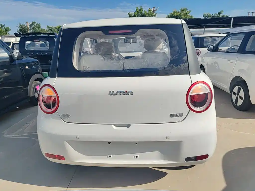 Qiyuan Lumin — миниатюра 6