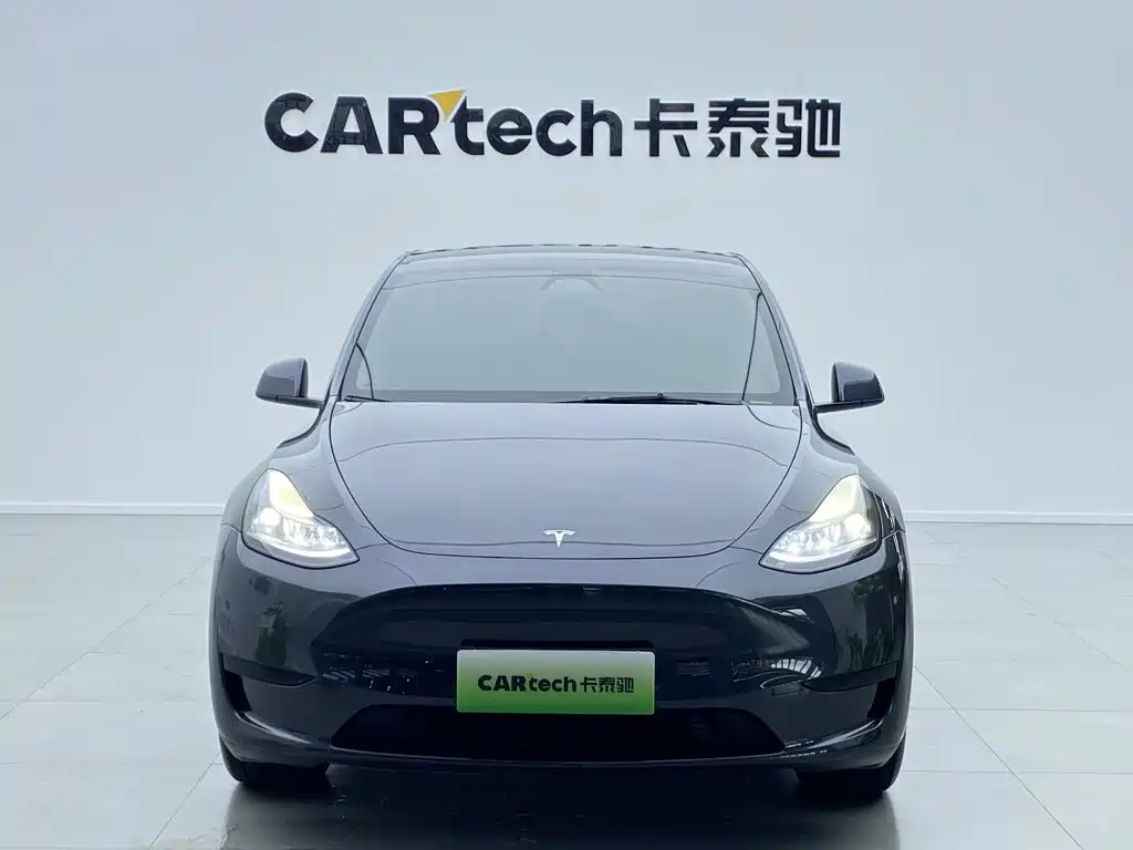 Tesla Model Y — миниатюра 2