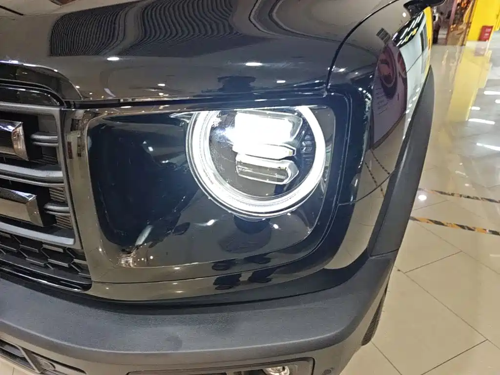 Haval Big Dog — миниатюра 24