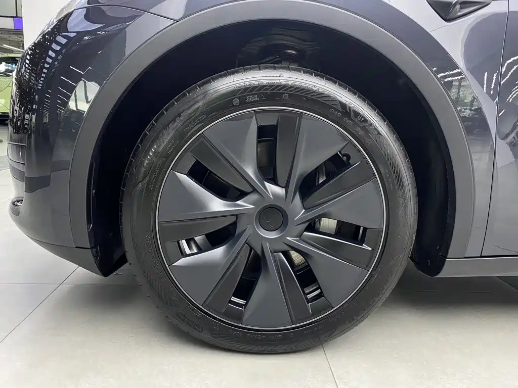 Tesla Model Y — миниатюра 7