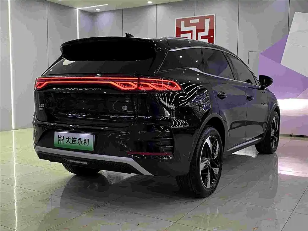 BYD Tang New Energy — миниатюра 15