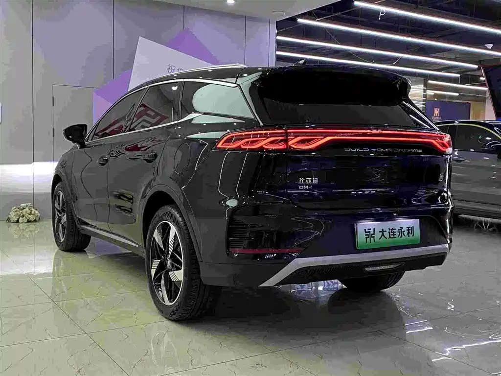 BYD Tang New Energy — миниатюра 16