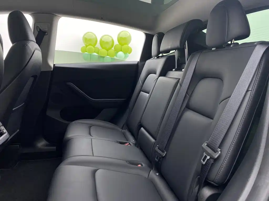 Tesla Model Y — миниатюра 19