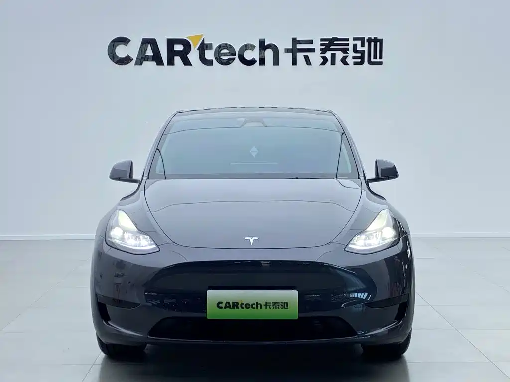 Tesla Model Y — миниатюра 2