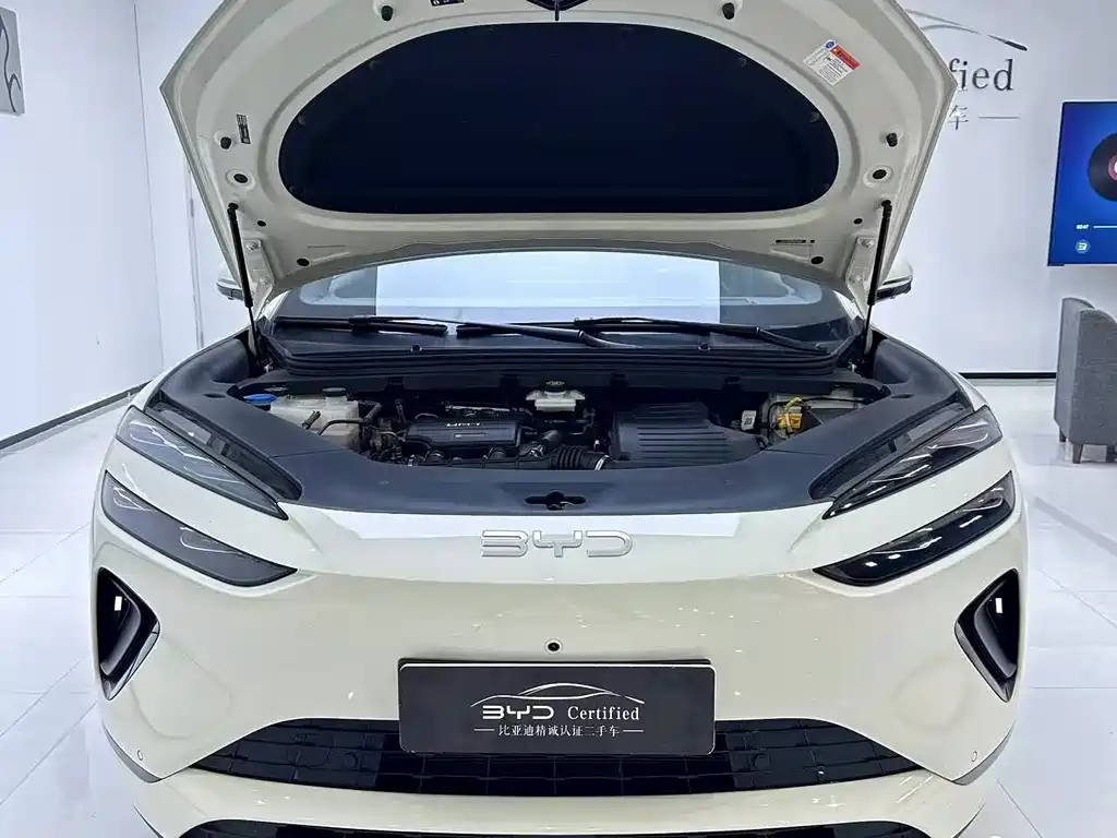 BYD Sealion 06 — миниатюра 9