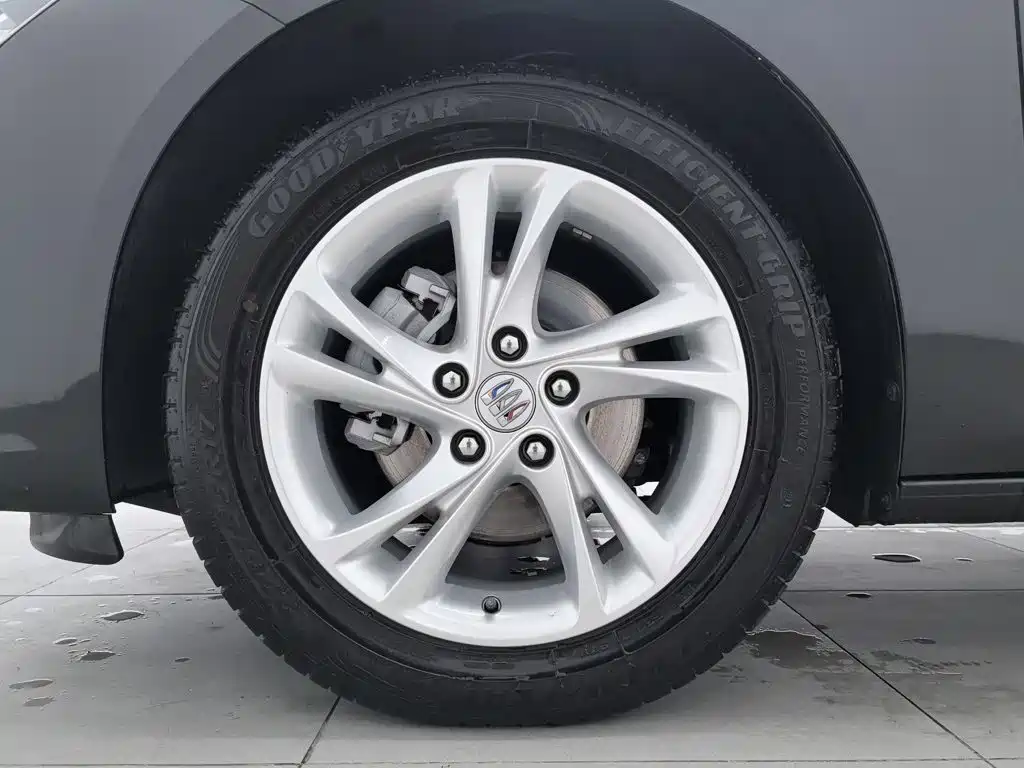 Buick Regal — миниатюра 17