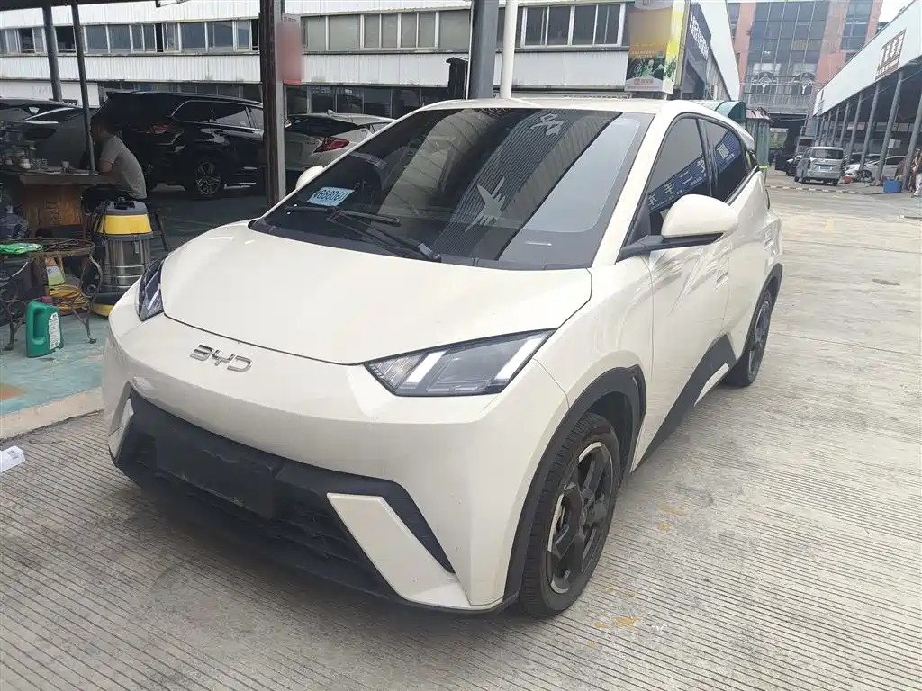 Byd Seagull 2024