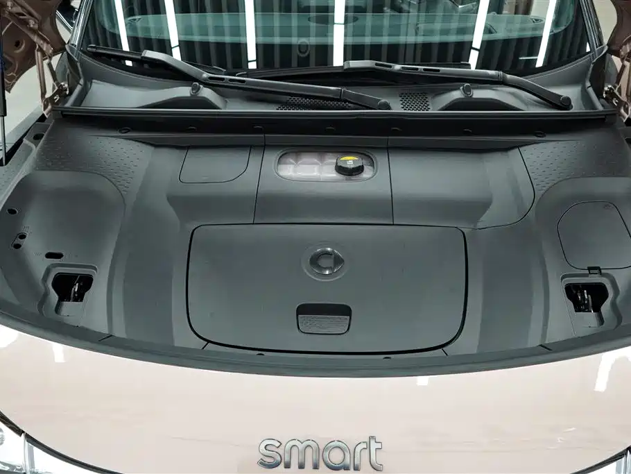 smart Smart #1 — миниатюра 27